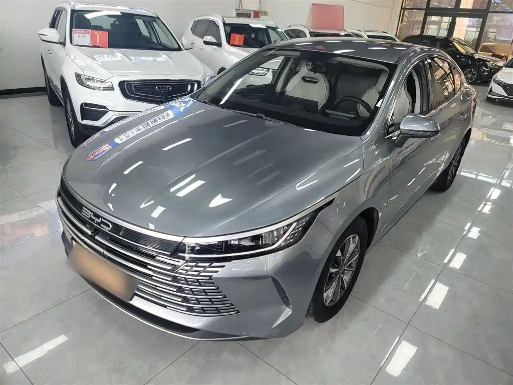 BYD Destroyer 05 2024