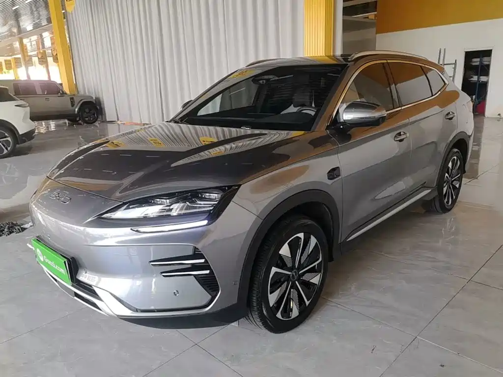 BYD PLUS New Energy 2025