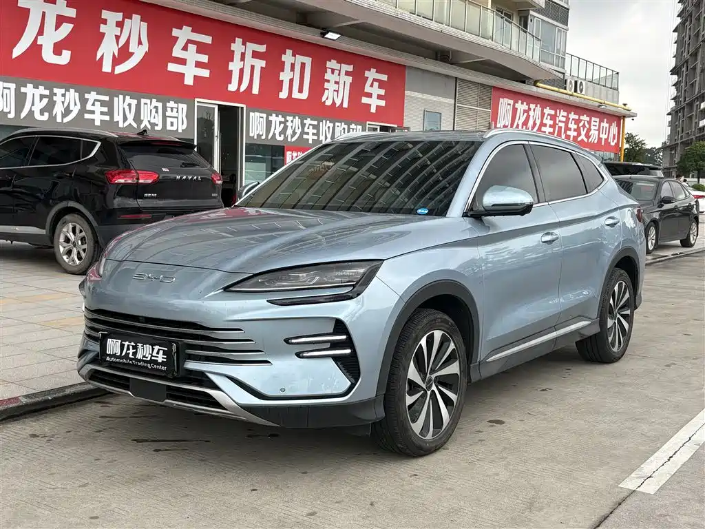 BYD PLUS New Energy 2024
