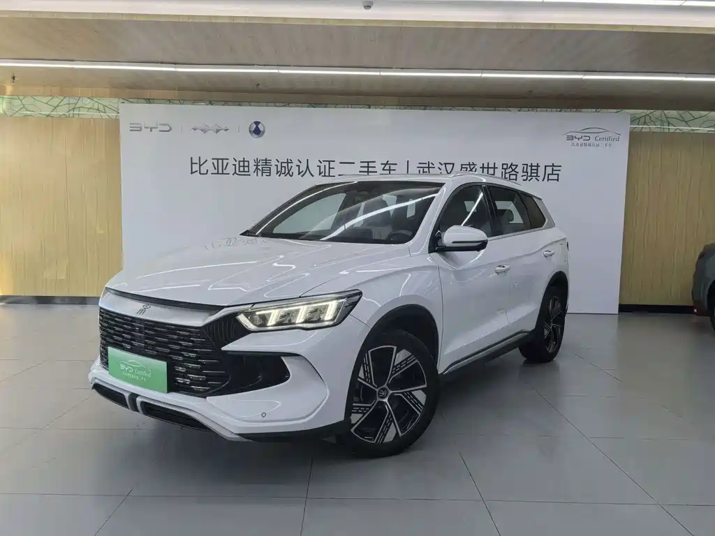 BYD Pro New Energy 2024