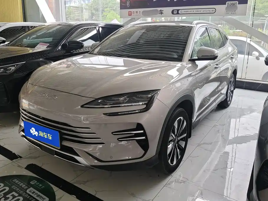 BYD PLUS New Energy 2024