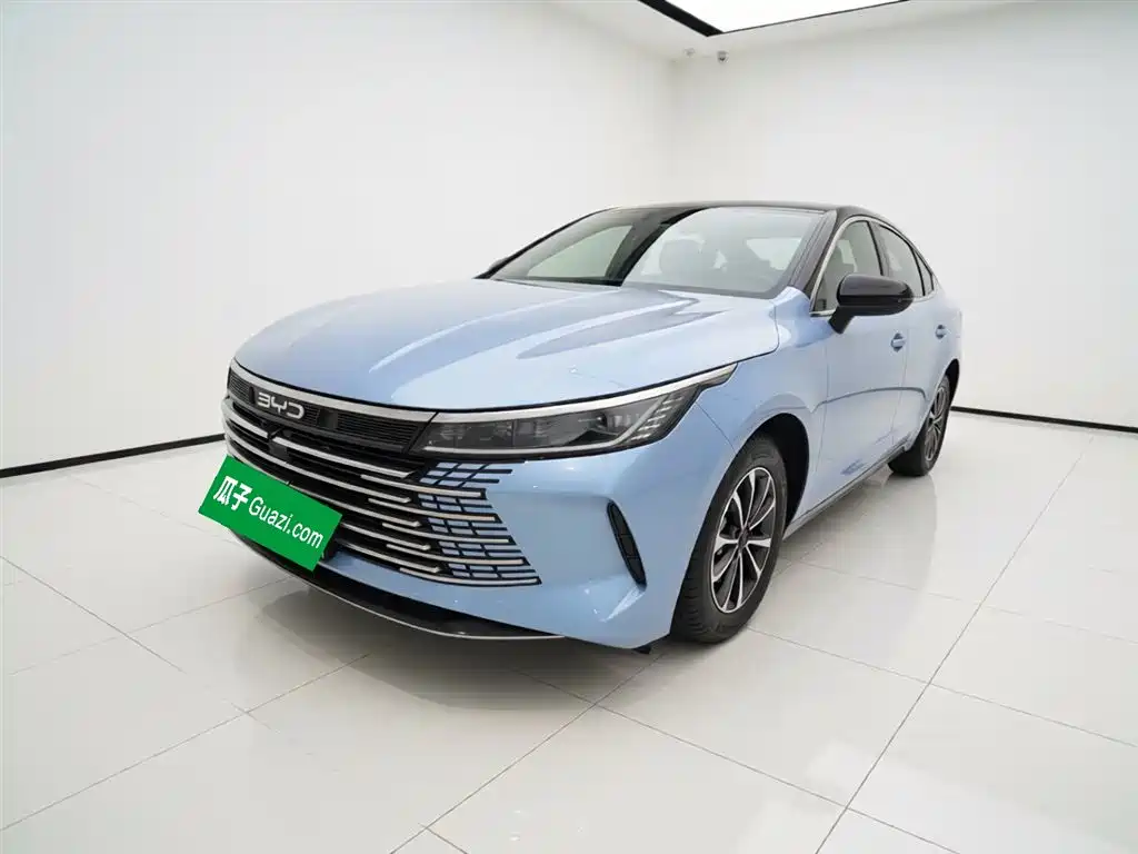 BYD Destroyer 05 2024