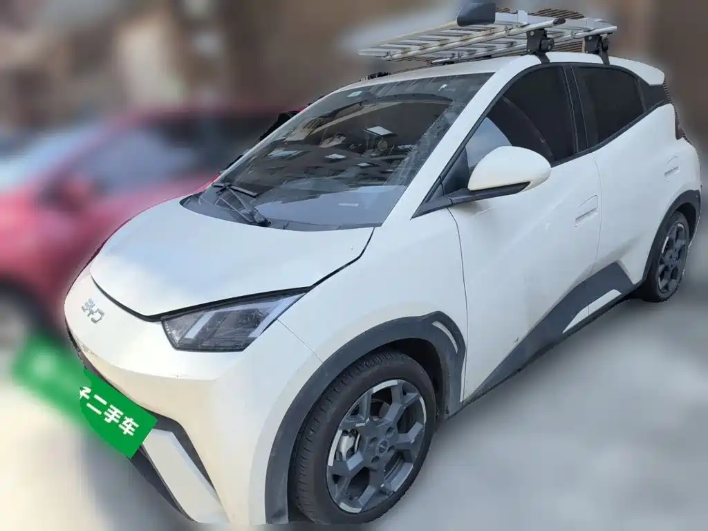 BYD Seagull 2024