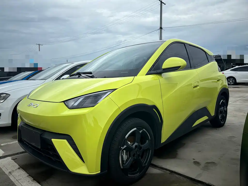 BYD Seagull 2024
