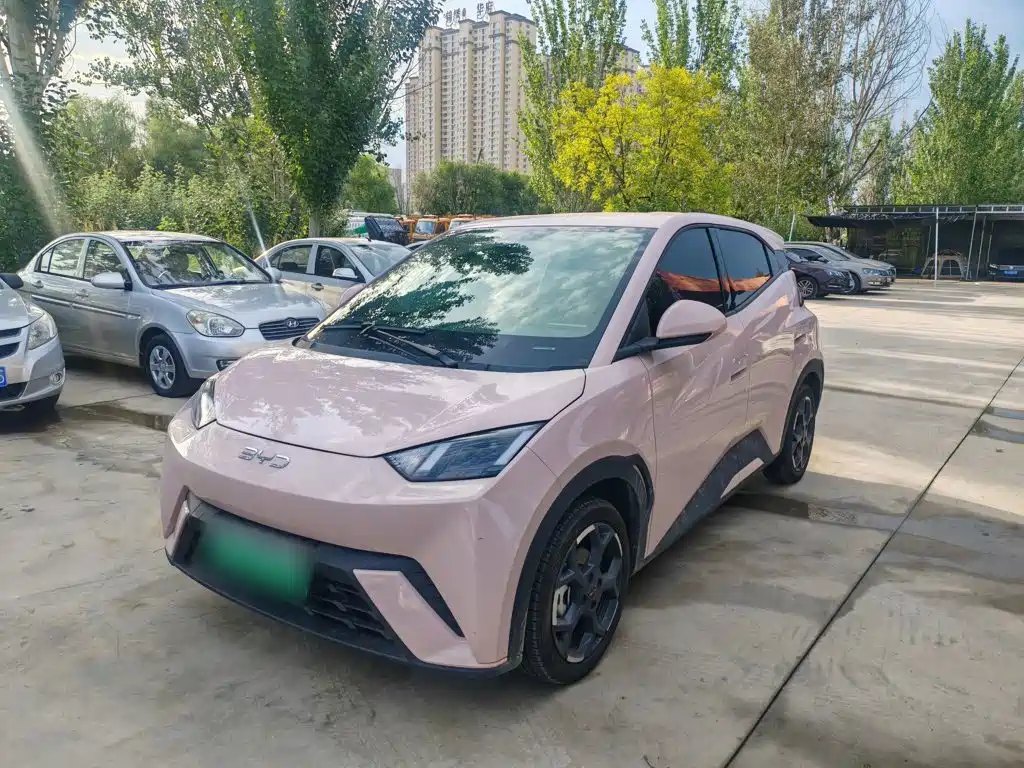 BYD Seagull 2024