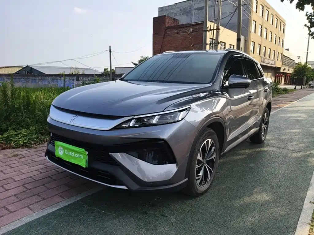 BYD Pro New Energy 2024