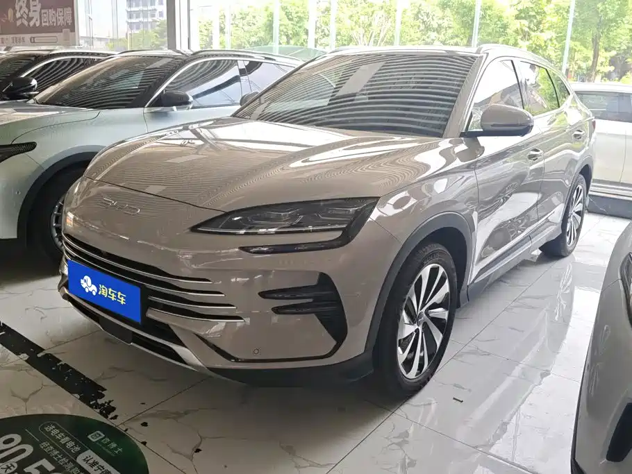 BYD PLUS New Energy 2024