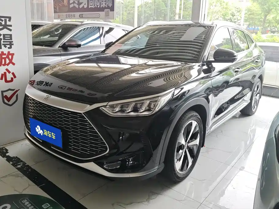 BYD PLUS New Energy 2021