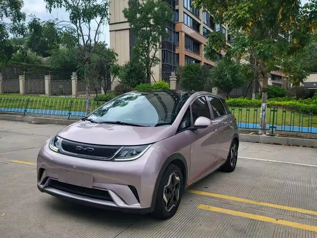 BYD Dolphin 2022