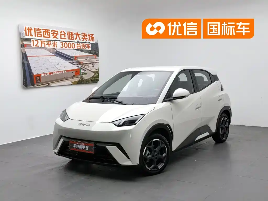 BYD Seagull 2024