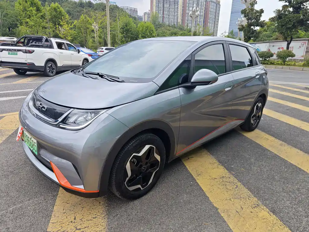 BYD Dolphin 2022