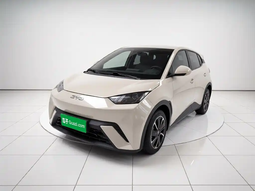 BYD Seagull 2024