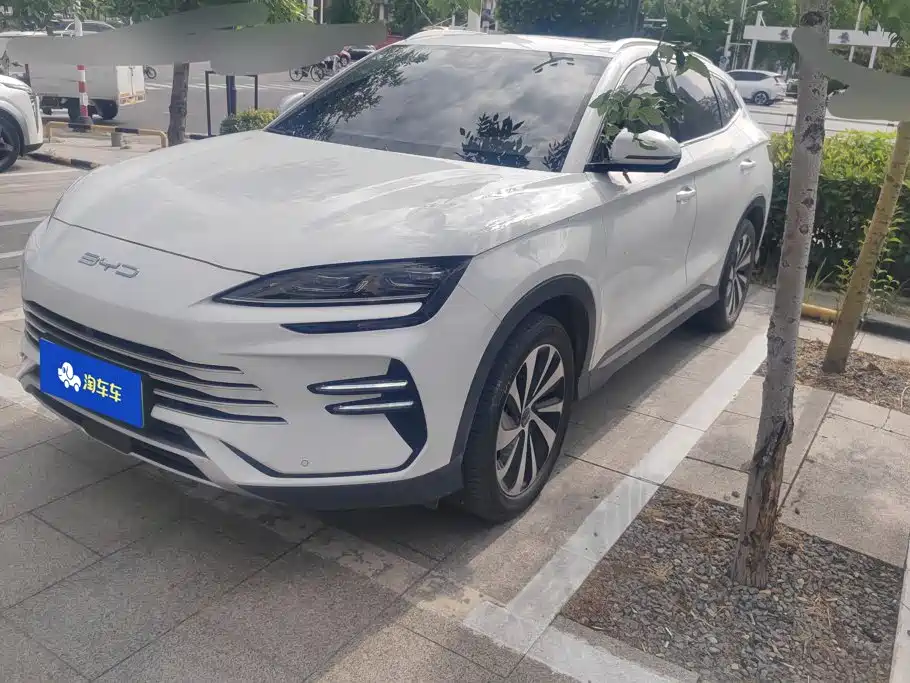 BYD PLUS New Energy 2024