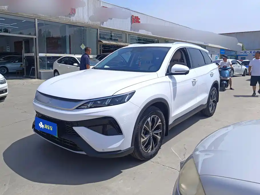 BYD Pro New Energy 2025