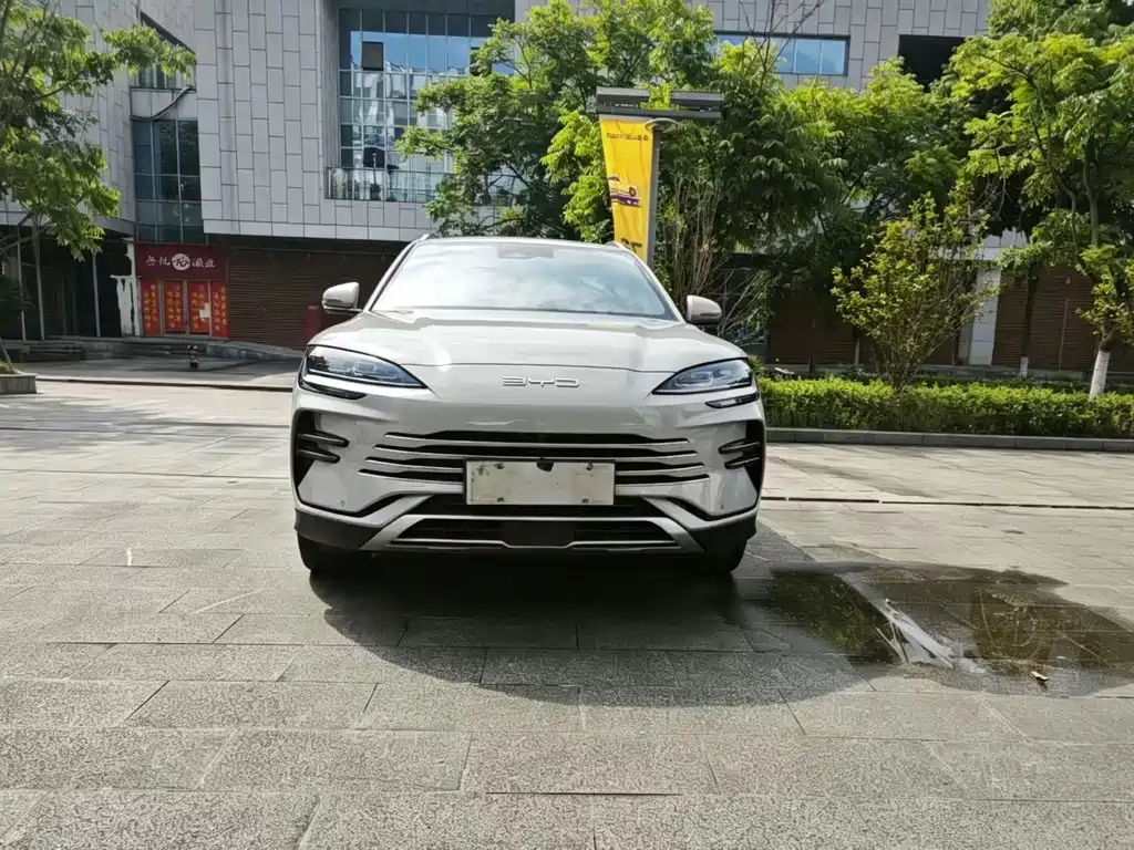 BYD PLUS New Energy 2024