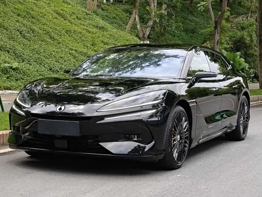 Denza Denza Z9GT 2024