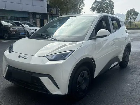 Seagull 2024 Honor Edition 305KM Vitality Edition